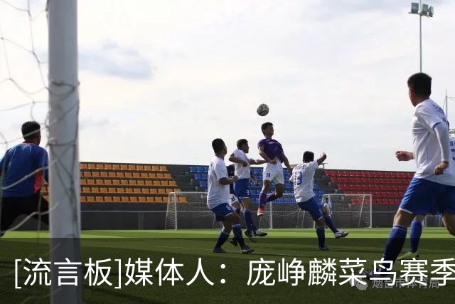 [流言板]媒体人：庞峥麟菜鸟赛季成全明星首发&进国家队，确实不多见